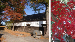 真っ赤に紅葉